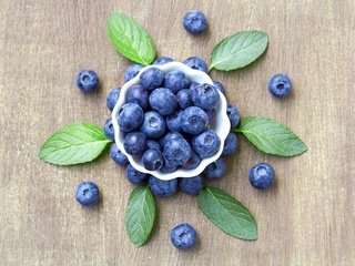 Обои ягоды, лесные ягоды, черника, парное, черничный, berries, blueberries, fresh, blueberry разрешение 4184x2789 Загрузить