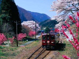 Обои горы, цветение, япония, весна, поезд, префектура гумма, mountains, flowering, japan, spring, train, gunma prefecture разрешение 1920x1080 Загрузить