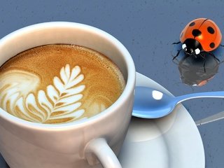 Обои насекомое, узор, кофе, божья коровка, чашка, ложка, капучино, пенка, insect, pattern, coffee, ladybug, cup, spoon, cappuccino, foam разрешение 4200x2200 Загрузить