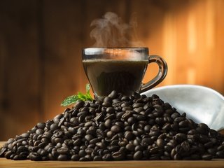 Обои мята, зерна, кофе, чашка, кофейные зерна, mint, grain, coffee, cup, coffee beans разрешение 7360x4912 Загрузить