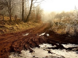 Обои свет, дорога, деревья, снег, туман, light, road, trees, snow, fog разрешение 1920x1280 Загрузить