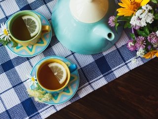 Обои цветы, ромашка, лимон, чашка, чай, травы, flowers, daisy, lemon, cup, tea, grass разрешение 5045x3363 Загрузить