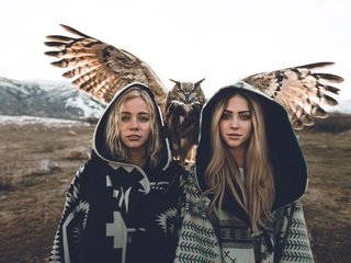 Обои сова, взгляд, девушки, птица, волосы, модели, блондинки, owl, look, girls, bird, hair, model, blonde разрешение 7952x5304 Загрузить