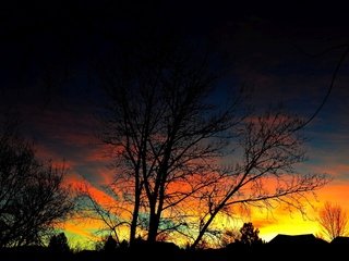 Обои небо, природа, дерево, закат, силуэты, the sky, nature, tree, sunset, silhouettes разрешение 3840x2160 Загрузить