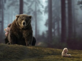 Обои лес, ситуация, медведь, мишки, девочка, forest, the situation, bear, bears, girl разрешение 2560x1707 Загрузить