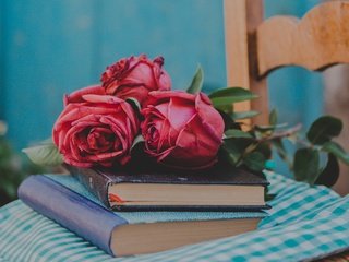 Обои цветы, бутоны, стиль, розы, книги, flowers, buds, style, roses, books разрешение 2560x1923 Загрузить