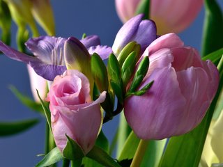 Обои цветы, розы, букет, тюльпаны, ирисы, композиция, flowers, roses, bouquet, tulips, irises, composition разрешение 2048x1365 Загрузить