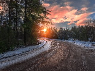 Обои небо, ели, дорога, облака, деревья, солнце, лес, закат, зима, the sky, ate, road, clouds, trees, the sun, forest, sunset, winter разрешение 2560x1596 Загрузить