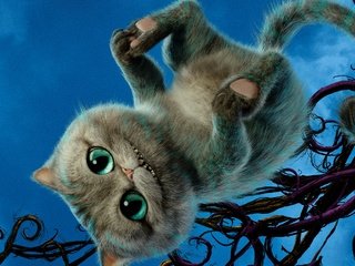 Обои глаза, кот, хвост, приключение, alice through the looking glass, чеширский кот, eyes, cat, tail, adventure, cheshire cat разрешение 2560x1597 Загрузить