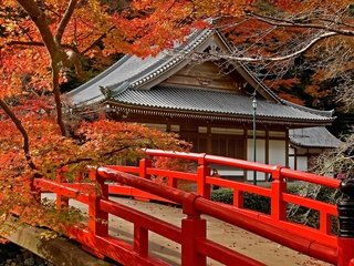 Обои дорога, деревья, листья, храм, мост, япония, клен, road, trees, leaves, temple, bridge, japan, maple разрешение 3872x2592 Загрузить