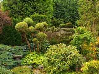 Обои деревья, зелень, парк, кусты, забор, сад, англия, bewdley, west midland safari park, trees, greens, park, the bushes, the fence, garden, england разрешение 3500x2075 Загрузить