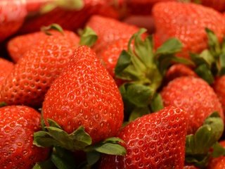 Обои клубника, ягоды, много, вкусно, strawberry, berries, a lot, delicious разрешение 2560x1600 Загрузить