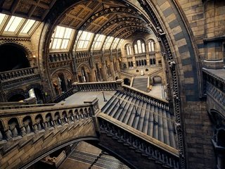 Обои лестница, лондон, зал, англия, музей естествознания, ladder, london, hall, england, museum of natural history разрешение 2048x1290 Загрузить