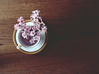 Обои настроение, стол, весна, вишня, чашка, веточки, mood, table, spring, cherry, cup, twigs разрешение 1920x1280 Загрузить