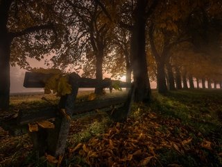 Обои ночь, деревья, листья, туман, осень, скамья, night, trees, leaves, fog, autumn, bench разрешение 2048x1152 Загрузить
