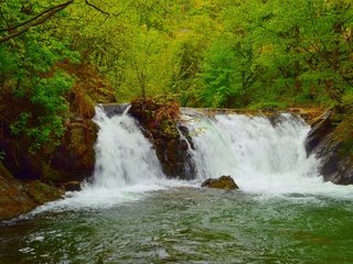 Обои деревья, река, природа, зелень, водопад, trees, river, nature, greens, waterfall разрешение 3006x1874 Загрузить