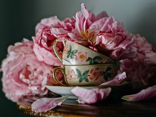 Обои цветы, лепестки, чашки, столик, натюрморт, пионы, flowers, petals, cup, table, still life, peonies разрешение 2048x1305 Загрузить