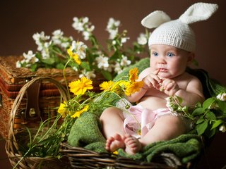 Обои цветы, ушки, ребенок, малыш, шапочка, зайчик, короб, корзины, flowers, ears, child, baby, cap, bunny, box, basket разрешение 4044x2900 Загрузить