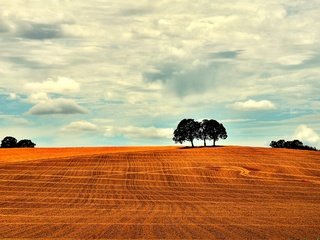 Обои небо, облака, деревья, пейзаж, поле, the sky, clouds, trees, landscape, field разрешение 2560x1599 Загрузить