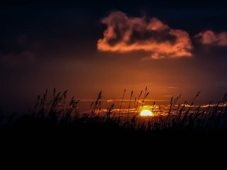 Обои трава, закат, облако, grass, sunset, cloud разрешение 1920x1080 Загрузить