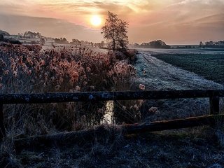 Обои солнце, природа, растения, фон, утро, туман, забор, the sun, nature, plants, background, morning, fog, the fence разрешение 2048x1366 Загрузить