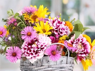 Обои цветы, букет, корзинка, георгины, астры, flowers, bouquet, basket, dahlias, asters разрешение 2880x1800 Загрузить