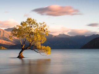 Обои облака, озеро, горы, дерево, птицы, новая зеландия, clouds, lake, mountains, tree, birds, new zealand разрешение 2048x1365 Загрузить