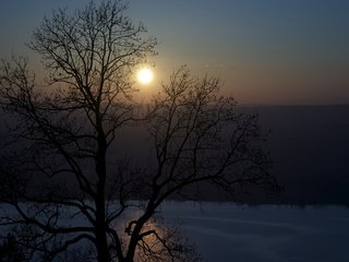 Обои дерево, утро, речка, tree, morning, river разрешение 1920x1200 Загрузить