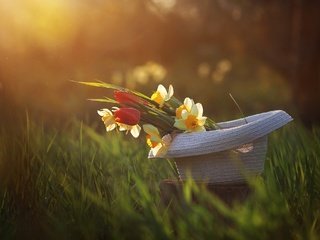 Обои цветы, трава, весна, тюльпаны, нарциссы, шляпа, flowers, grass, spring, tulips, daffodils, hat разрешение 2400x1521 Загрузить