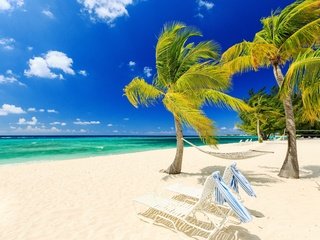 Обои природа, тропики, море, песок, пляж, пальмы, гамак, ветер, лежаки, nature, tropics, sea, sand, beach, palm trees, hammock, the wind, sunbeds разрешение 2880x1920 Загрузить