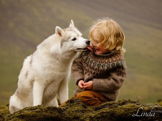 Обои собака, мальчик, хаски, исландия, дружба, друзья, dog, boy, husky, iceland, friendship, friends разрешение 1920x1200 Загрузить