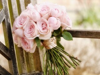 Обои цветы, розы, букет, свадебный букет, flowers, roses, bouquet, wedding bouquet разрешение 1920x1200 Загрузить