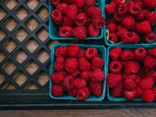 Обои малина, ягоды, много, урожай, контейнеры, ящик, коробочки, raspberry, berries, a lot, harvest, containers, box, boxes разрешение 3072x1728 Загрузить