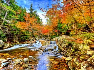 Обои небо, поток, деревья, река, камни, лес, ручей, водопад, осень, the sky, trees, river, stones, forest, stream, waterfall, autumn разрешение 5637x3754 Загрузить