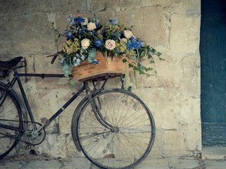 Обои цветы, стена, франция, велосипед, ящик, flowers, wall, france, bike, box разрешение 1920x1200 Загрузить