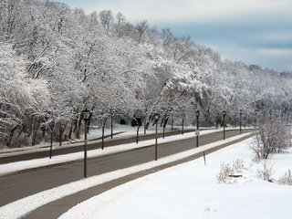 Обои дорога, деревья, фонари, снег, зима, ветки, город, улица, road, trees, lights, snow, winter, branches, the city, street разрешение 1920x1080 Загрузить