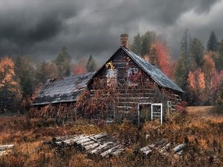 Обои деревья, лес, тучи, осень, дом, бревна, изба, заброшенный, trees, forest, clouds, autumn, house, logs, hut, abandoned разрешение 1920x1080 Загрузить