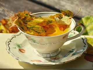 Обои блюдце, чашка, чай, фарфор, осенние листья, saucer, cup, tea, porcelain, autumn leaves разрешение 6000x3241 Загрузить