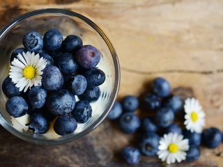 Обои цветы, ромашки, ягоды, черника, стакан, flowers, chamomile, berries, blueberries, glass разрешение 3534x1920 Загрузить