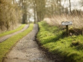 Обои дорога, трава, природа, лес, весна, частное, road, grass, nature, forest, spring, private разрешение 1920x1200 Загрузить