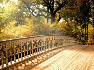 Обои природа, дерево, листья, мост, осень, деревянный мост, nature, tree, leaves, bridge, autumn, wooden bridge разрешение 2000x1376 Загрузить