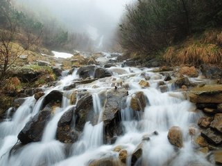 Обои река, скалы, природа, камни, лес, ручей, водопад, карпаты, river, rocks, nature, stones, forest, stream, waterfall, carpathians разрешение 1920x1284 Загрузить