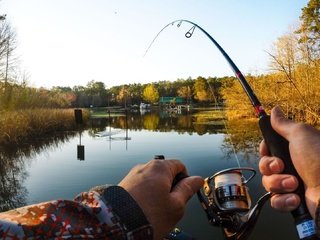 Обои вода, спиннинг, природа, пейзаж, осень, руки, рыбалка, удочка, рыбак, water, nature, landscape, autumn, hands, fishing, rod, fisherman разрешение 1920x1080 Загрузить