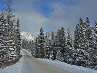 Обои дорога, горы, зима, пейзаж, национальный парк банф, road, mountains, winter, landscape, banff national park разрешение 2048x1366 Загрузить