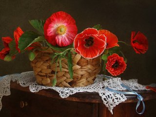 Обои цветы, маки, ленточка, салфетка, корзинка, натюрморт, тумбочка, flowers, maki, ribbon, napkin, basket, still life, table разрешение 1980x1324 Загрузить