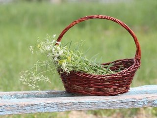 Обои фон, корзина, полевые цветы, лавочка, тысячелистник, background, basket, wildflowers, shop, yarrow разрешение 1920x1280 Загрузить