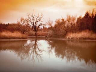 Обои озеро, дерево, отражение, фон, осень, lake, tree, reflection, background, autumn разрешение 2048x1361 Загрузить