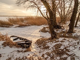 Обои деревья, снег, природа, зима, лодка, камыш, марина соколова,     деревья, trees, snow, nature, winter, boat, reed, marina sokolova разрешение 1920x1278 Загрузить