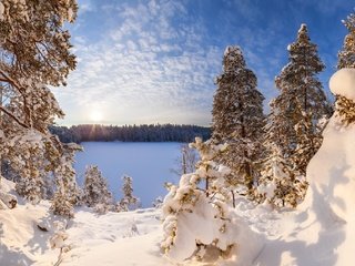 Обои небо, арсений кашкаров, облака, озеро ястребиное, озеро, ленинградская область, снег, зима, иней, россия, сосны, the sky, arseniy kashkarov, clouds, lake hawk, lake, leningrad oblast, snow, winter, frost, russia, pine разрешение 1920x1131 Загрузить