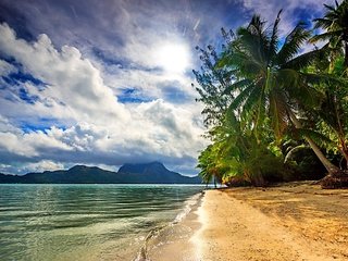 Обои французская полинезия, облака, природа, море, пляж, пальмы, остров, тропики, бора-бора, french polynesia, clouds, nature, sea, beach, palm trees, island, tropics, bora bora разрешение 2048x1365 Загрузить